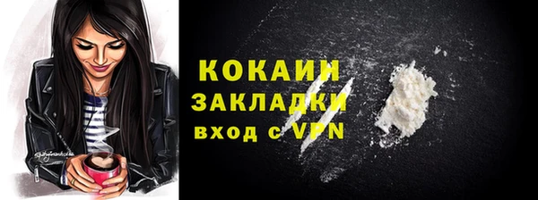 прущие грибы Армянск