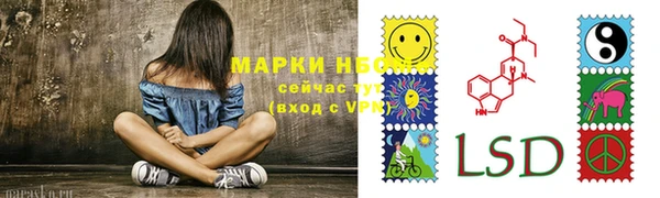 прущие грибы Армянск