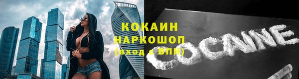 прущие грибы Армянск