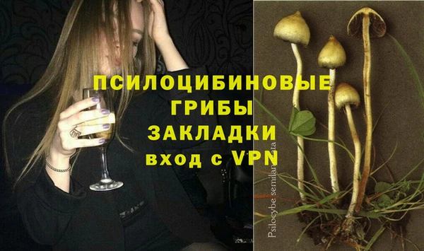 прущие грибы Армянск
