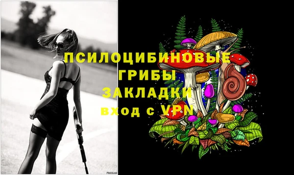 прущие грибы Армянск