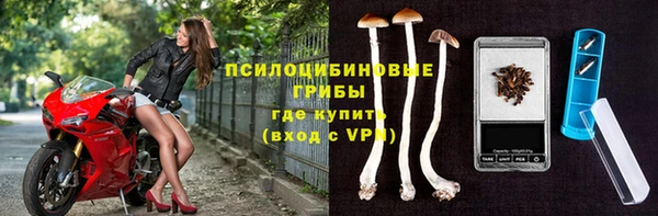 прущие грибы Армянск